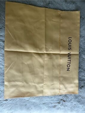 Luis Vuitton dust bag